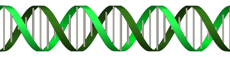 DNA