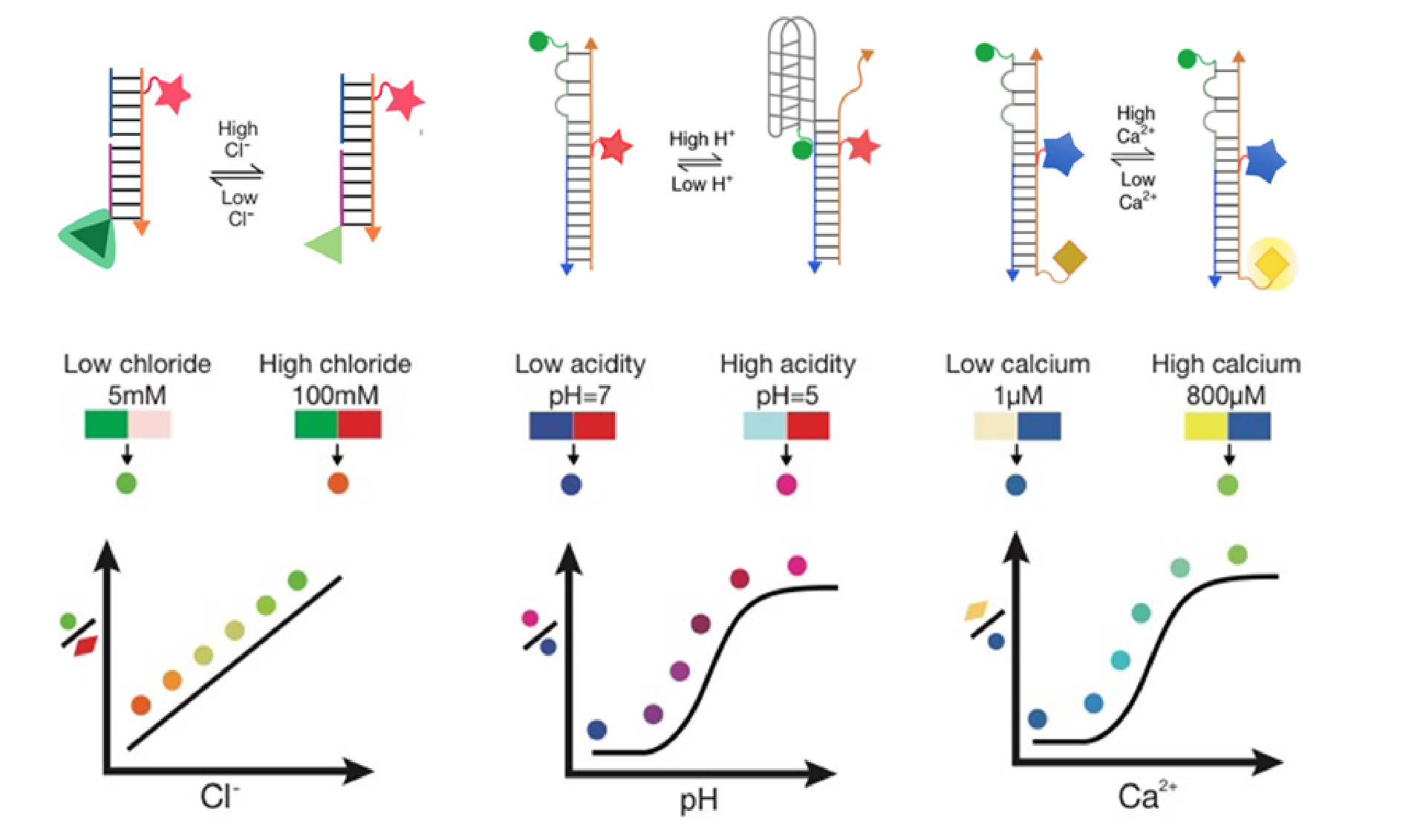 quantitative fluorescent chemical sensors